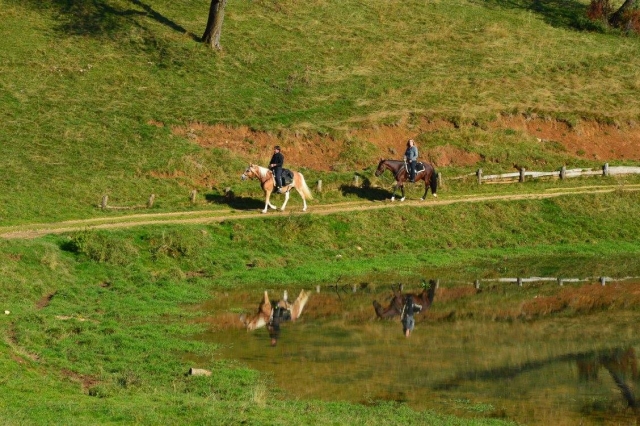  Un paseo en la silla 