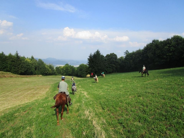  Cruzando los campos 