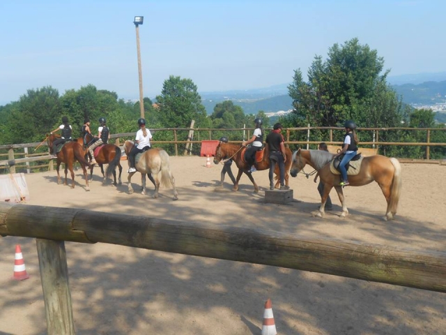  Clases con nuestros instructores 