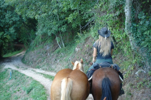  En los bosques de Milán 