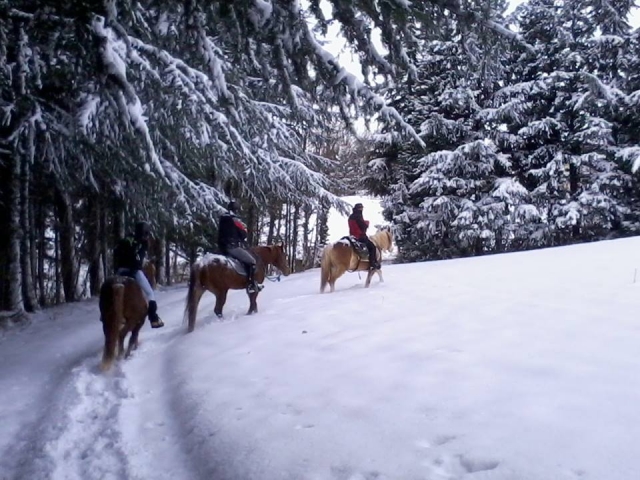  Pbaños por la nieve 