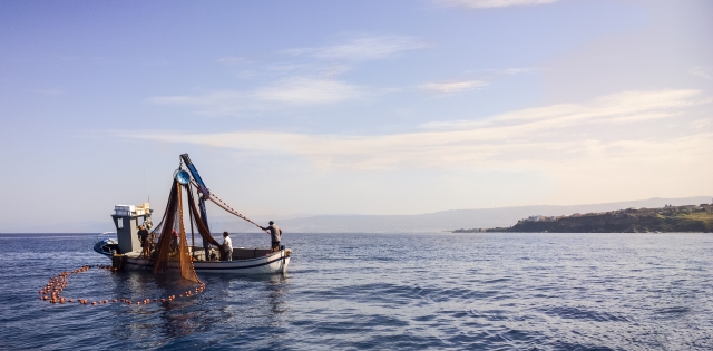  pesca en la costa de tropea 