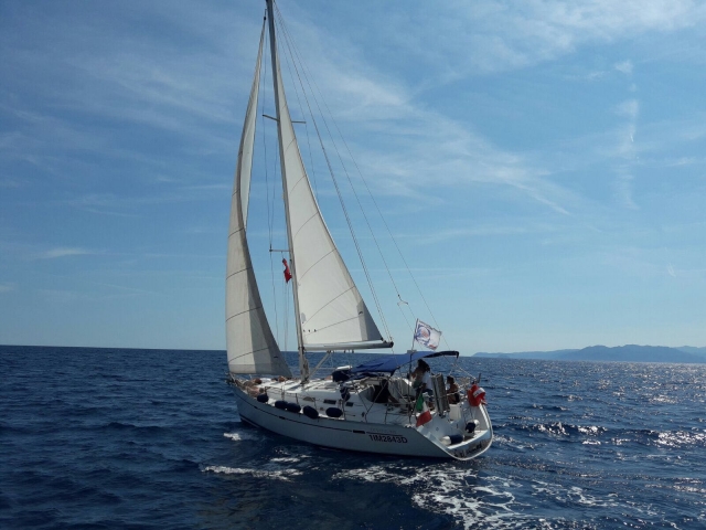  viajes en velero 