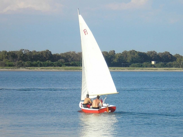  le convertirás en un experto 