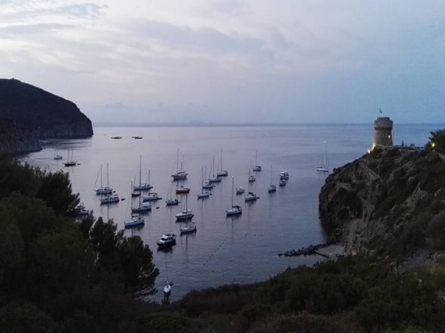  En compañía de la isla 