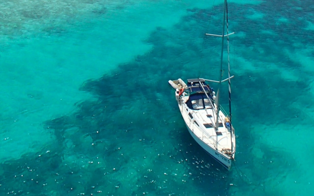  Pausado en el azul Mar 