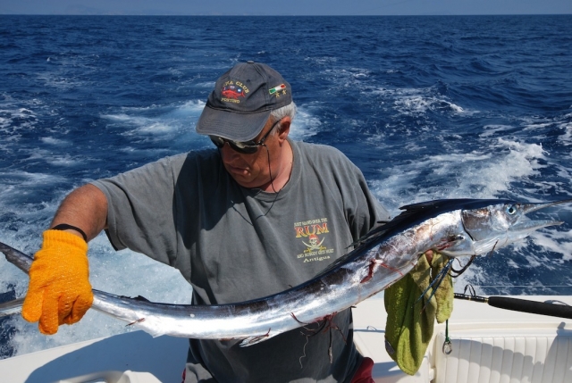  esto es lo que comeremos 