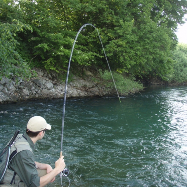  pasión por la pesca 