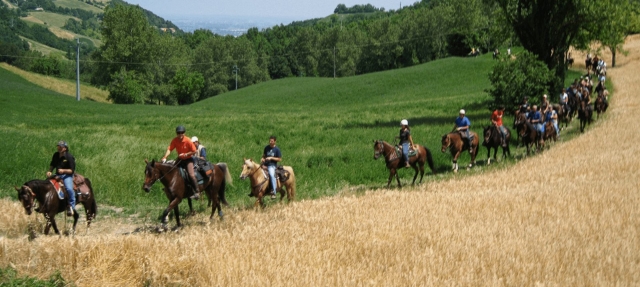  nuestras cabalgamarras 
