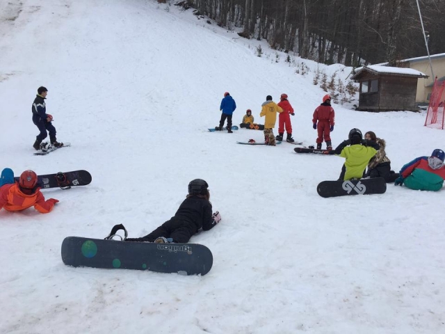  cursos para todos los niveles 