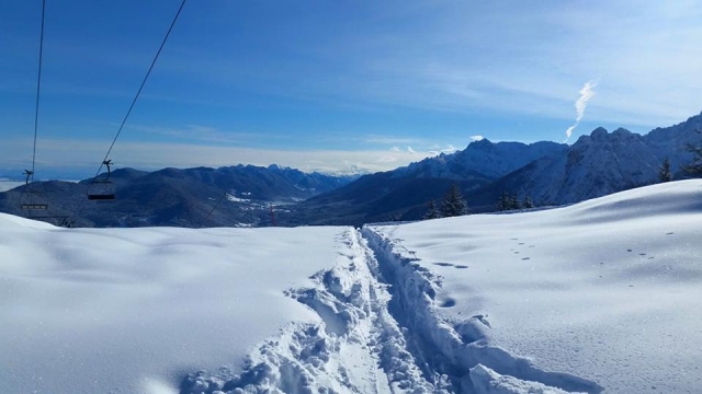 Sobre nieve fresca