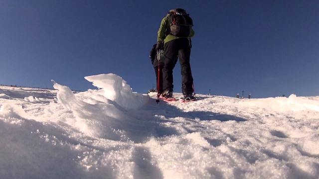 raquetas de nieve