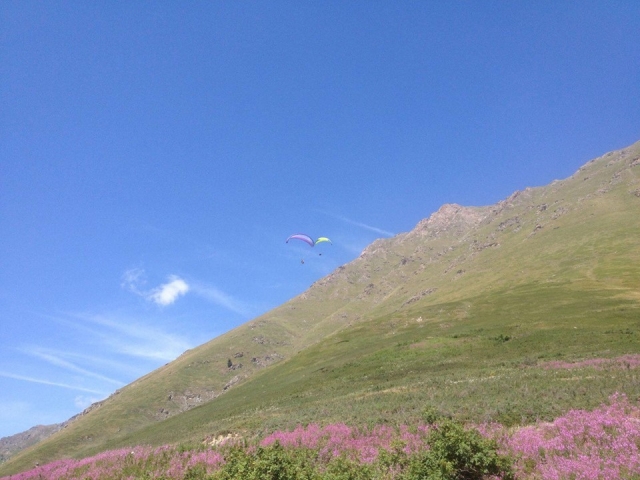  prepárale para vivir una experiencia uncia 