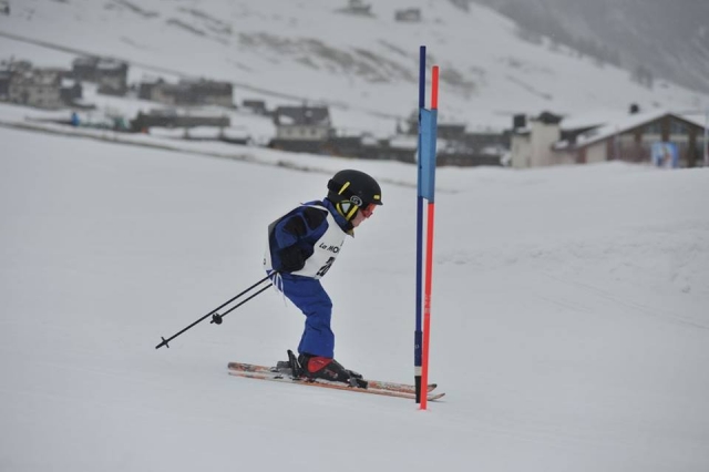  diversión garantizada 