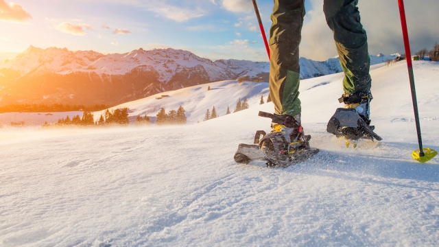  Camina por el parque