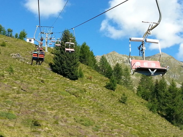  Telesilla en verano 