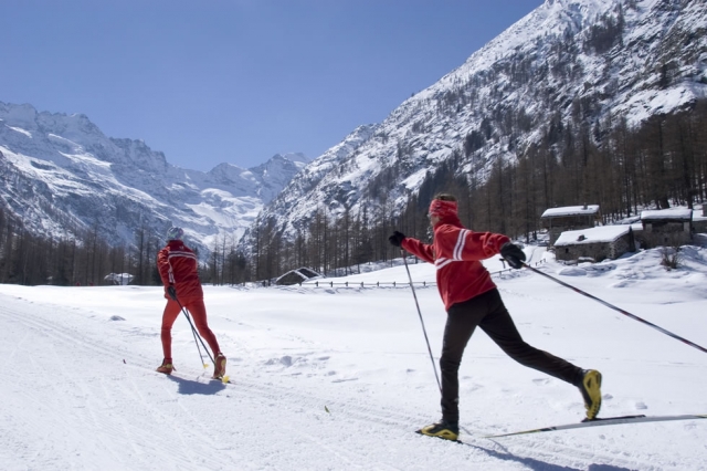  Coordinación y concentración