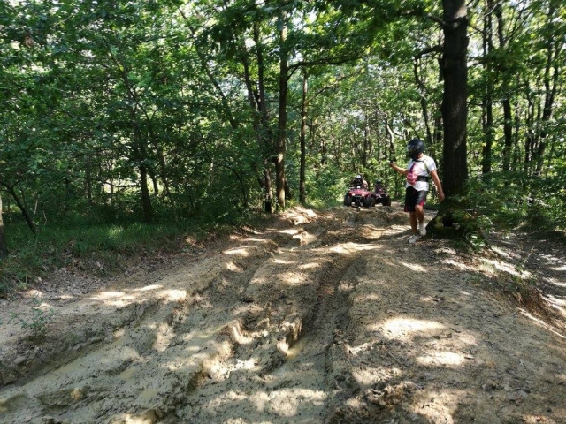  Sendero por el bosque 