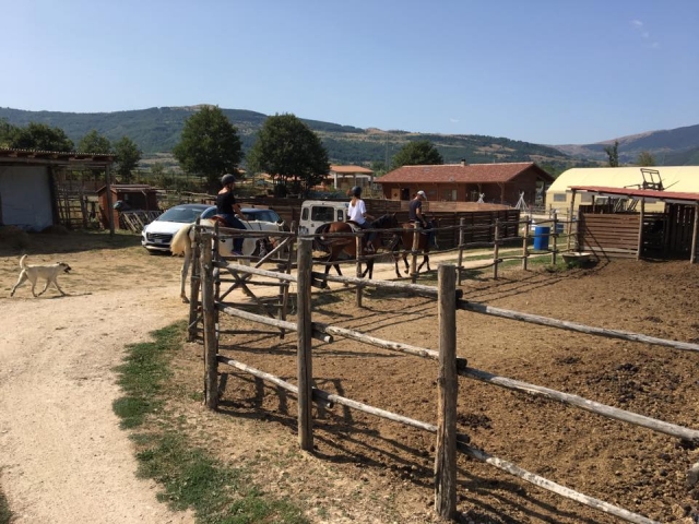  Regreso al rancho 