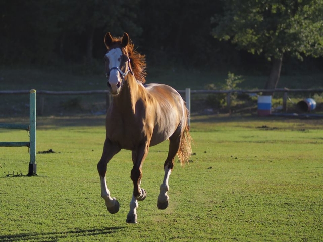  Rápido como el viento 