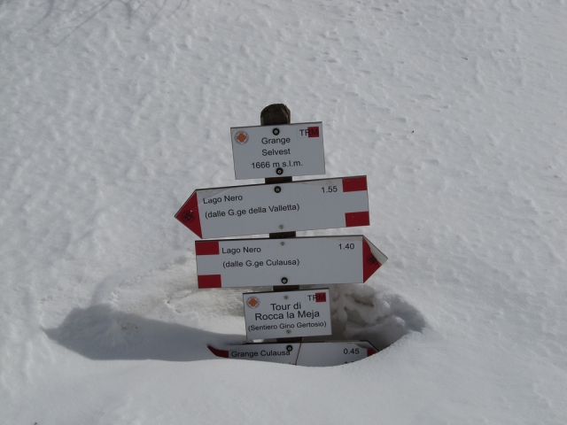  ¿Demasiada nieve tal vez? 