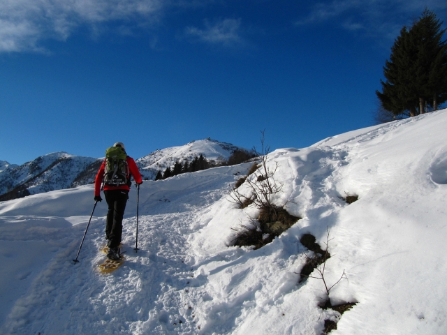  Venga a probar esta experiencia única en la nieve 