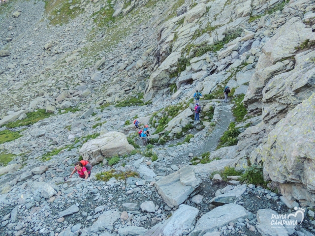  Trekking 
