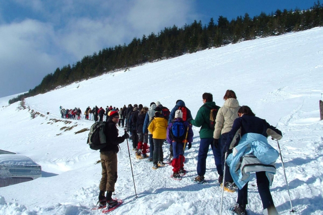  Raquetas de nieve 