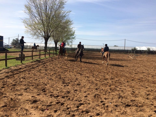  Nuestro campo de pasto y nuestros caballos 