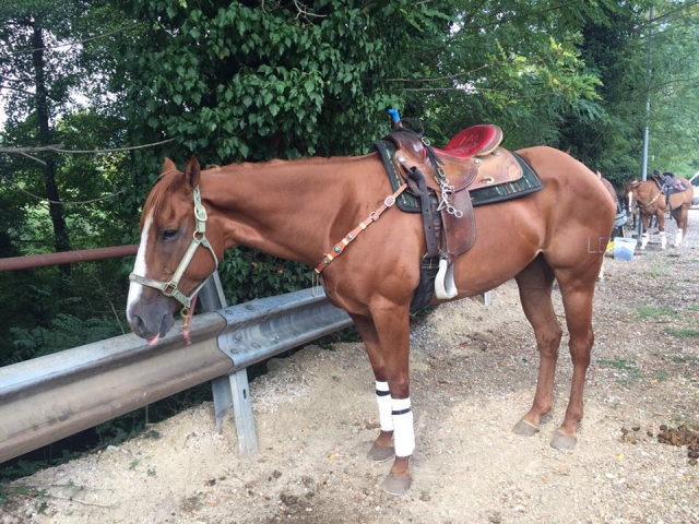  Uno de nuestros ejemplares 