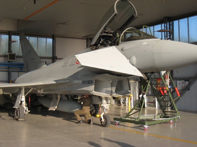  Observando y aprendiendo