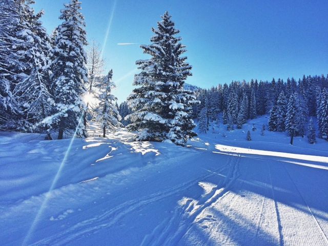  baja al valle con nosotros