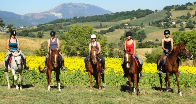  foto de grupo duranle un agradable paseo 