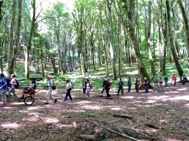  en una sola fila duranle una de nuestras caminatas