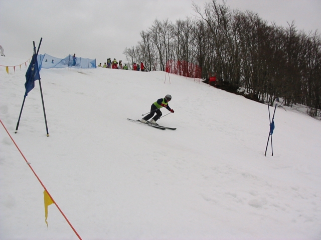  ponle siempre a propva 