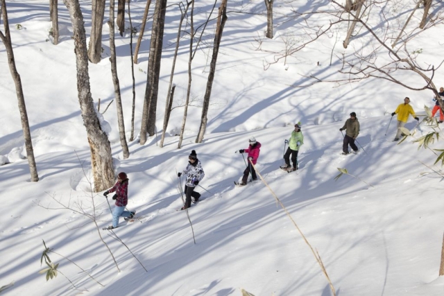 Excursión con raquetas de nieve 