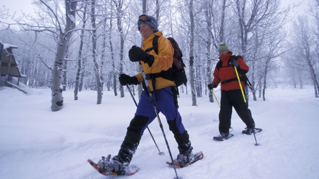 Renta de raquetas de nieve 