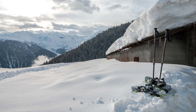  Nuevos caminos a seguir 