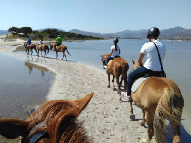  venga a pasear con nosotros, la diversión está garantizada 