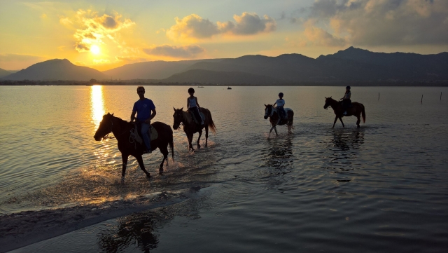  ¡viaja con nosotros! 