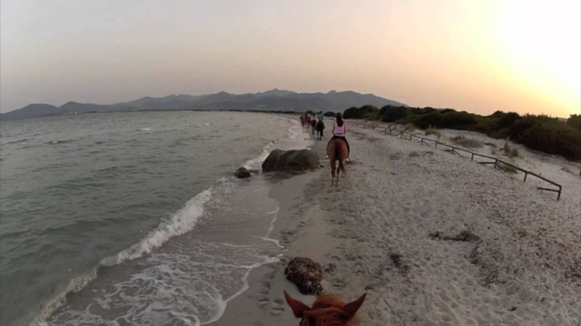  También junto al mar con nuestros maravillosos caballos 