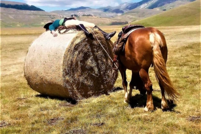  Un poco de relajación después de una larga camicrema 