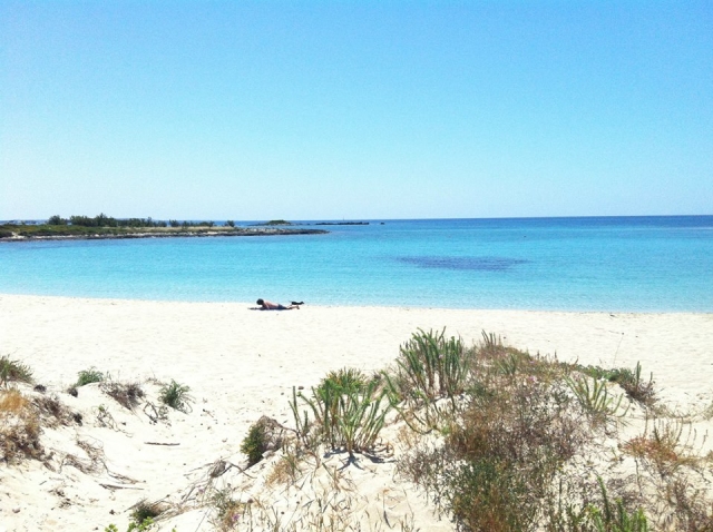 El paraíso de porto cesareo 