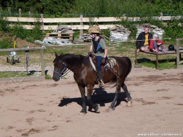  venga y vive una experiencia única 