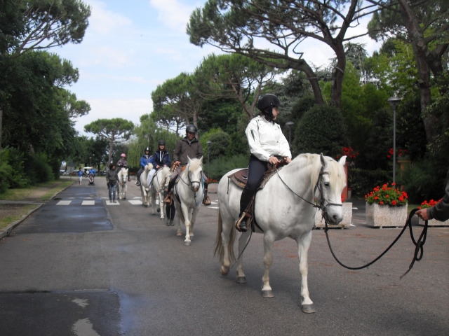  Grupos de vacaciones 