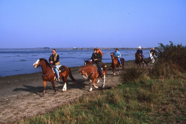 Pbaños por la playa de romea 