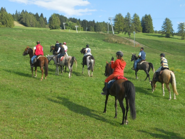  Entre extensiones verdes 
