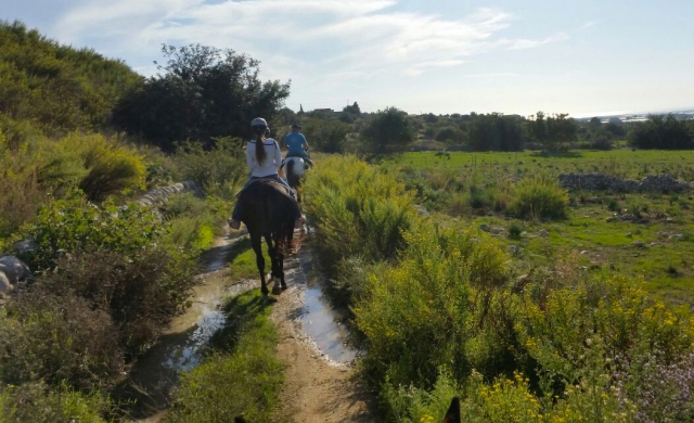  Vivir la naturaleza 