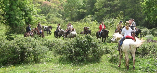  Todos juntos a caballo 