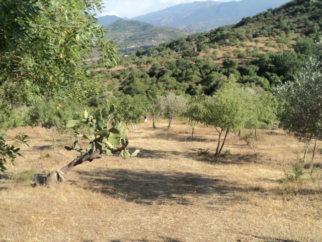  Naturaleza de origen mediterráneo 